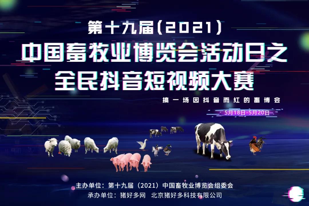 4月14日20公斤仔猪价格，仔猪价格3连跌，天价仔猪“不复存在”？