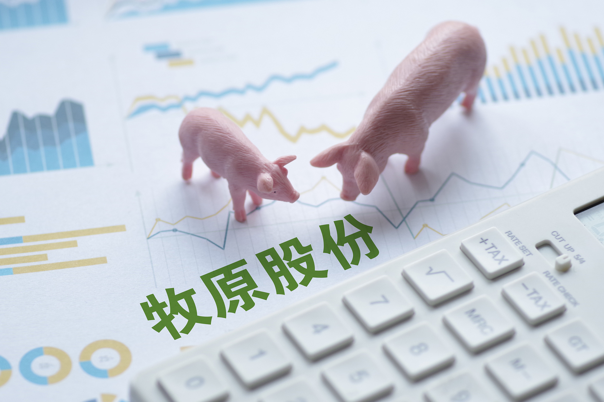 “猪茅”一季度盈利超67亿元，同比增62%，同行业绩普遍大幅亏损