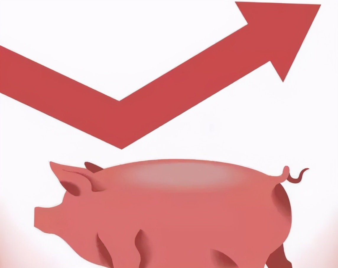 生猪价格涨势“惊人”！4天时间涨幅达12%，有望涨回30元的高地？