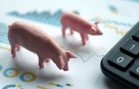 猪企一季报业绩大幅分化！牧原股份逆势预增超60%，新希望、正邦科技利润同比缩减