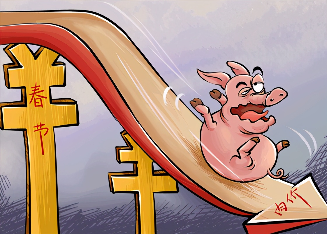 养猪赚钱的时代已过？猪肉价格不断下跌，养猪企业净利润惨跌90%