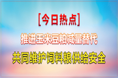 值得庆祝！在这件事上，我们终于摆脱了对国外的长期依赖