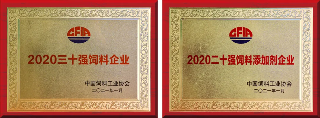 播恩