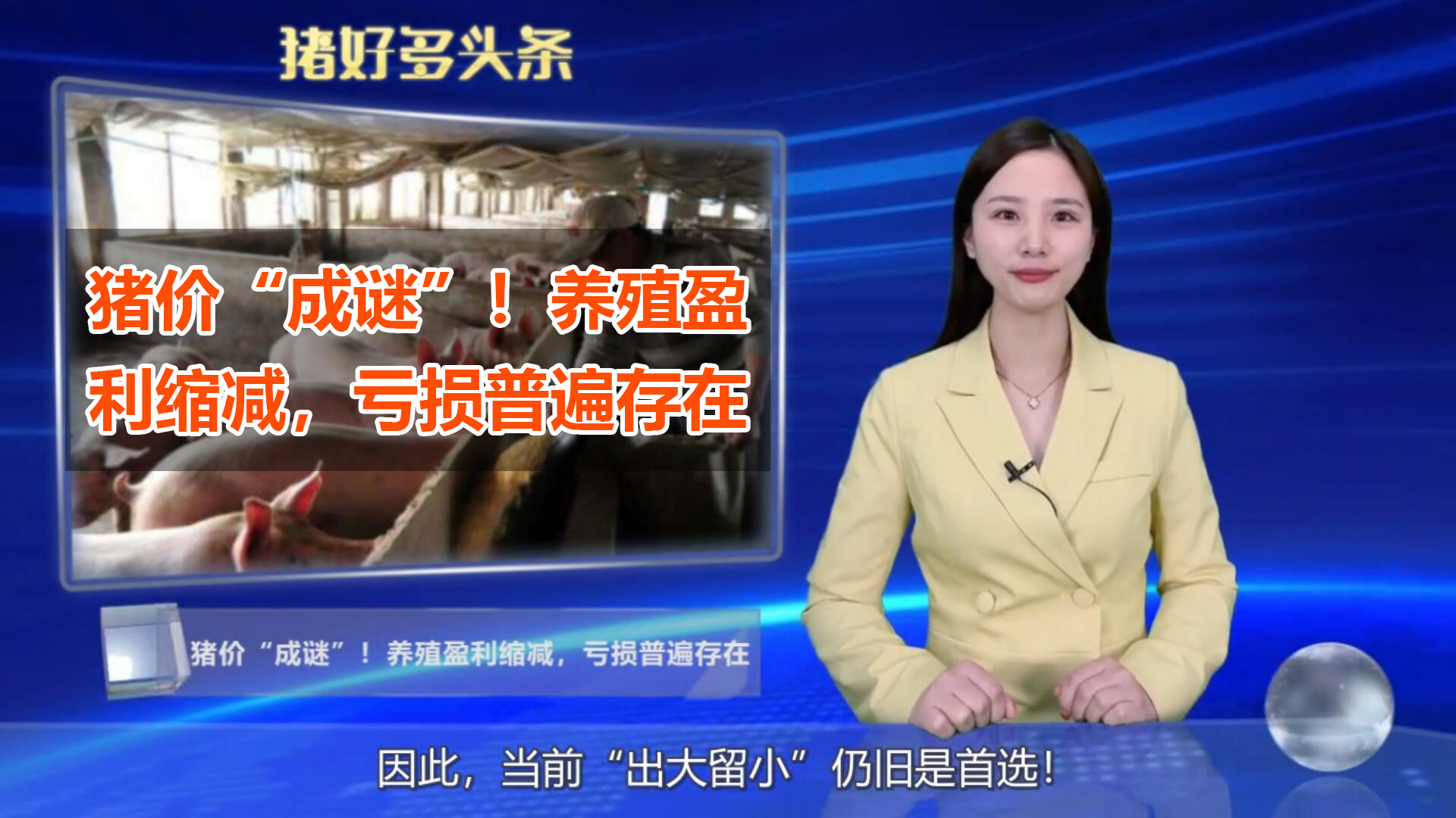猪价“成谜”！养殖盈利缩减，亏损普遍存在！专家却看好后市？