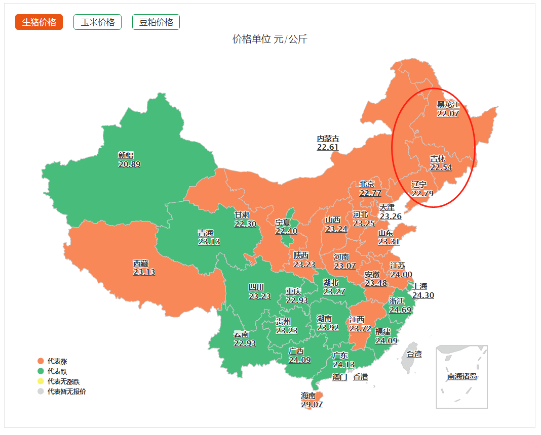 东北猪价一片红，垂死挣扎亦或逆风翻盘？专家：“出大留小”为宜