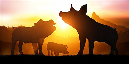 全球肉类市场与贸易：2021年全球猪肉产量或将增长5%至1.015亿吨