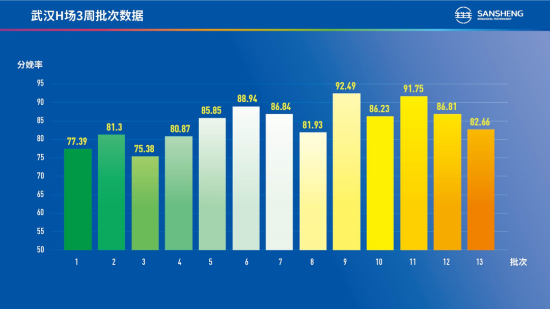  批次生产可降低疫病感染风险