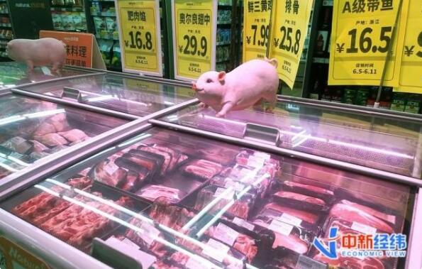 猪肉价格“跌跌不休”，后续还会反弹吗?看专家怎么说！