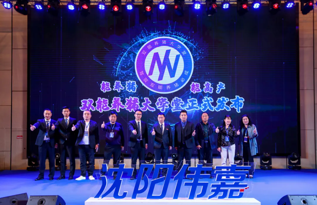 双能技术体系成功发布