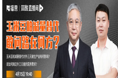 直播回顾：玉米豆粕减量替代，目前最具价值与前景的方案是……