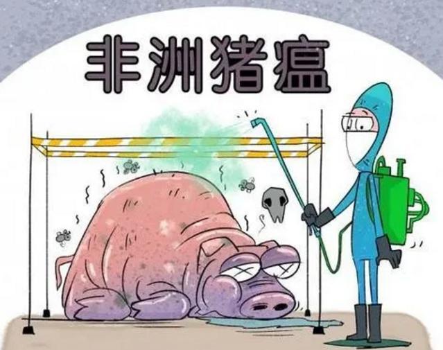 春季养猪研讨会：非洲猪瘟在中国永远都不会被净化！