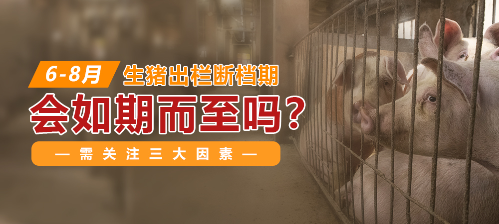 6-8月，生猪出栏断档期会如期而至吗？需关注三大因素！