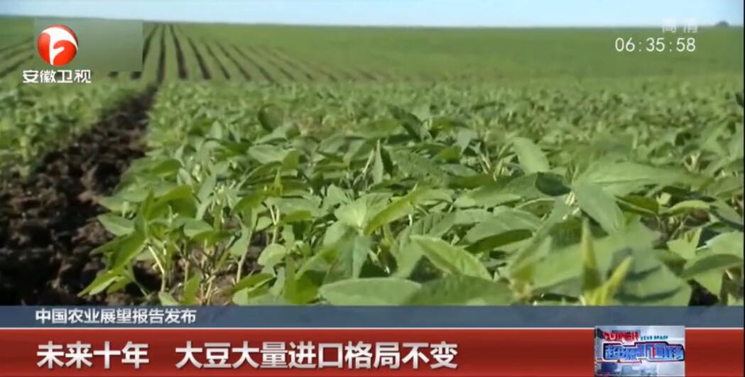 中国农业展望报告发布：未来十年 大豆大量进口格局不变