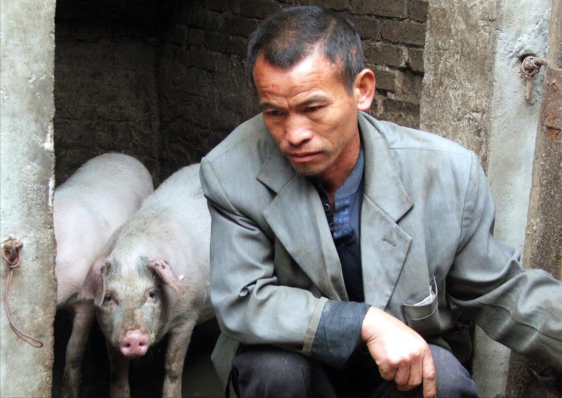 东北猪价跌入个位数！没戏了？养殖户：赶紧卖肥猪，免得一亏再亏