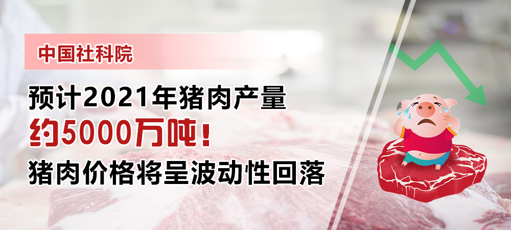 中国社科院：预计2021年猪肉产量约5000万吨，猪肉价格将呈波动性回落