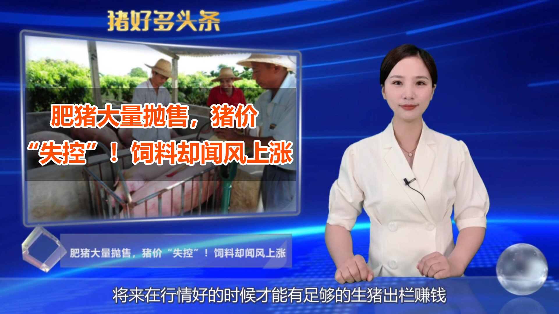 肥猪大量抛售，猪价“失控”！又一坏消息传来，养猪还赚钱吗？