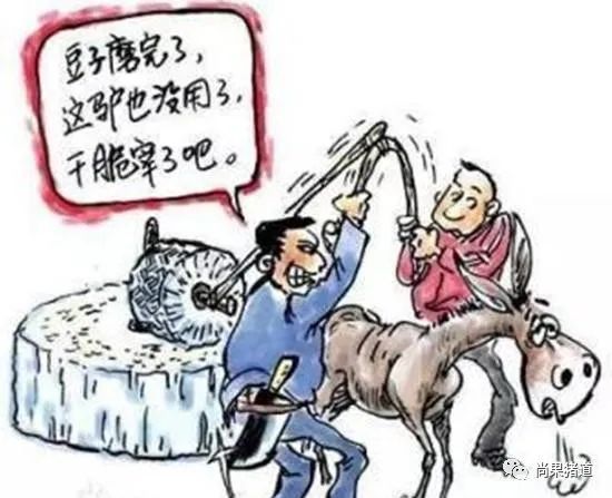 董广林┃现在搞猪价预测直播，还能不能搞到流量？