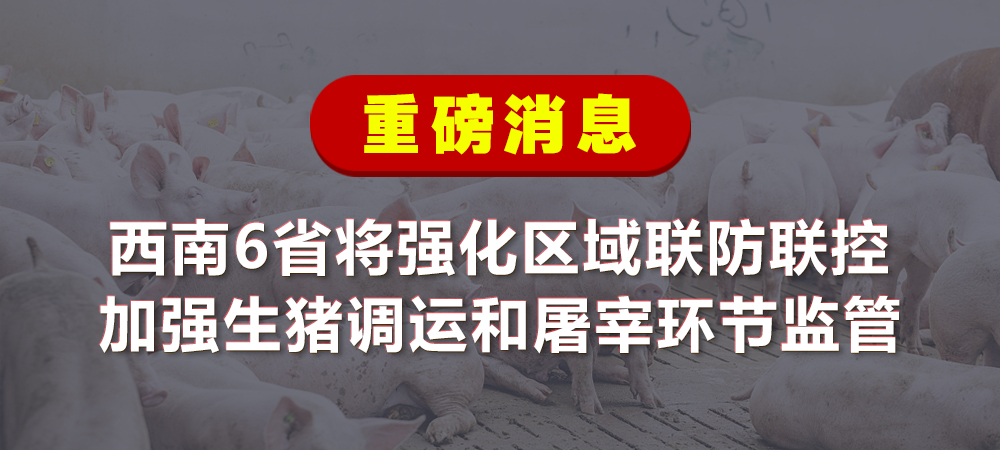 重磅！西南6省将强化区域联防联控，加强生猪调运和屠宰环节监管!