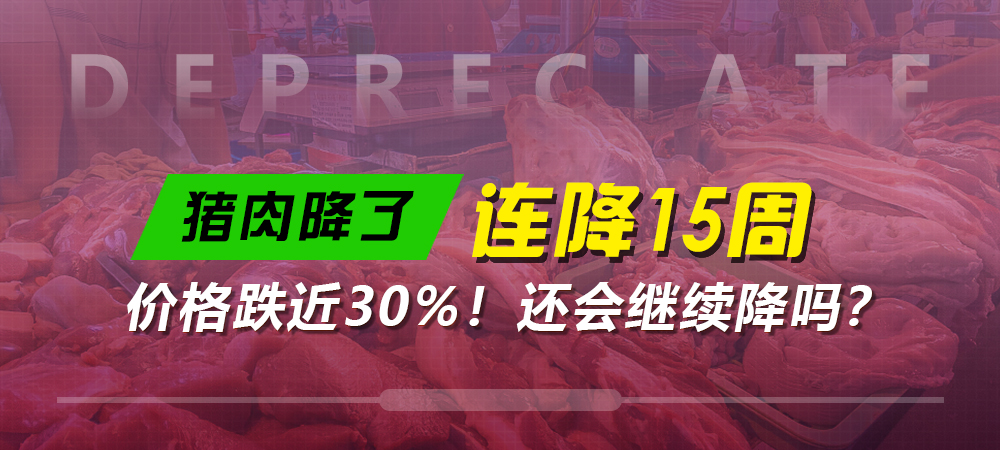 猪肉，降了！连降15周，价格跌近30%！还会继续降吗？