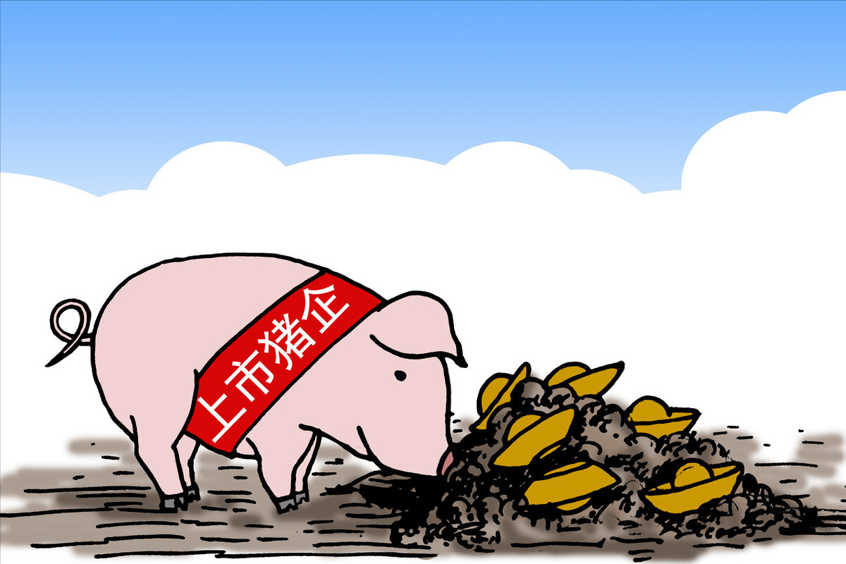 5月12日20公斤仔猪价格，仔猪市场不妙，能回归到正常年份价格？
