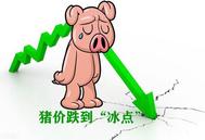 李俊柱：猪市低潮期的四大应对之策，你准备好了吗？