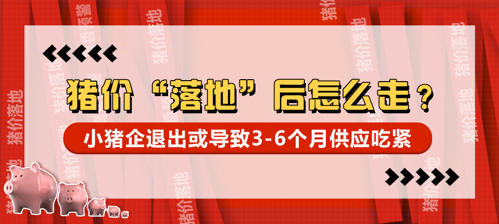 猪价“落地”后怎么走？小猪企退出或导致3-6个月供应吃紧