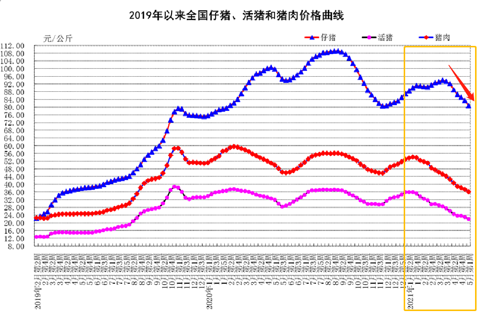 5月14日15公斤仔猪价格，猪企不再外购仔猪，仔猪市场崩盘前奏？