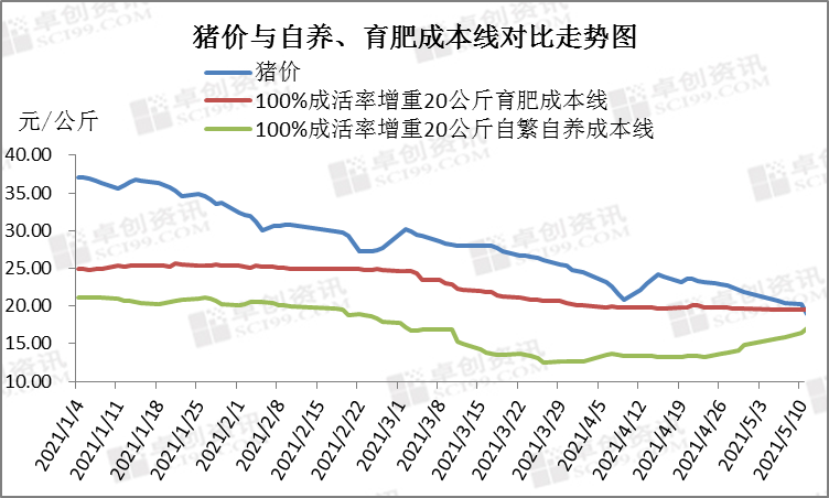 行业观察丨猪价俯冲回到“解放前”万物皆涨猪价为何“不走寻常路”？