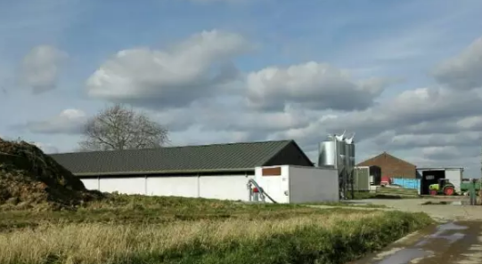 英格兰某家庭农场全景扫描，该农场PSY在30头！