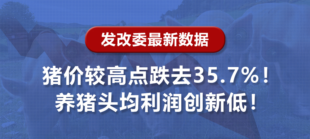 发改委最新数据：猪价较高点跌去35.7%！养猪头均利润创新低