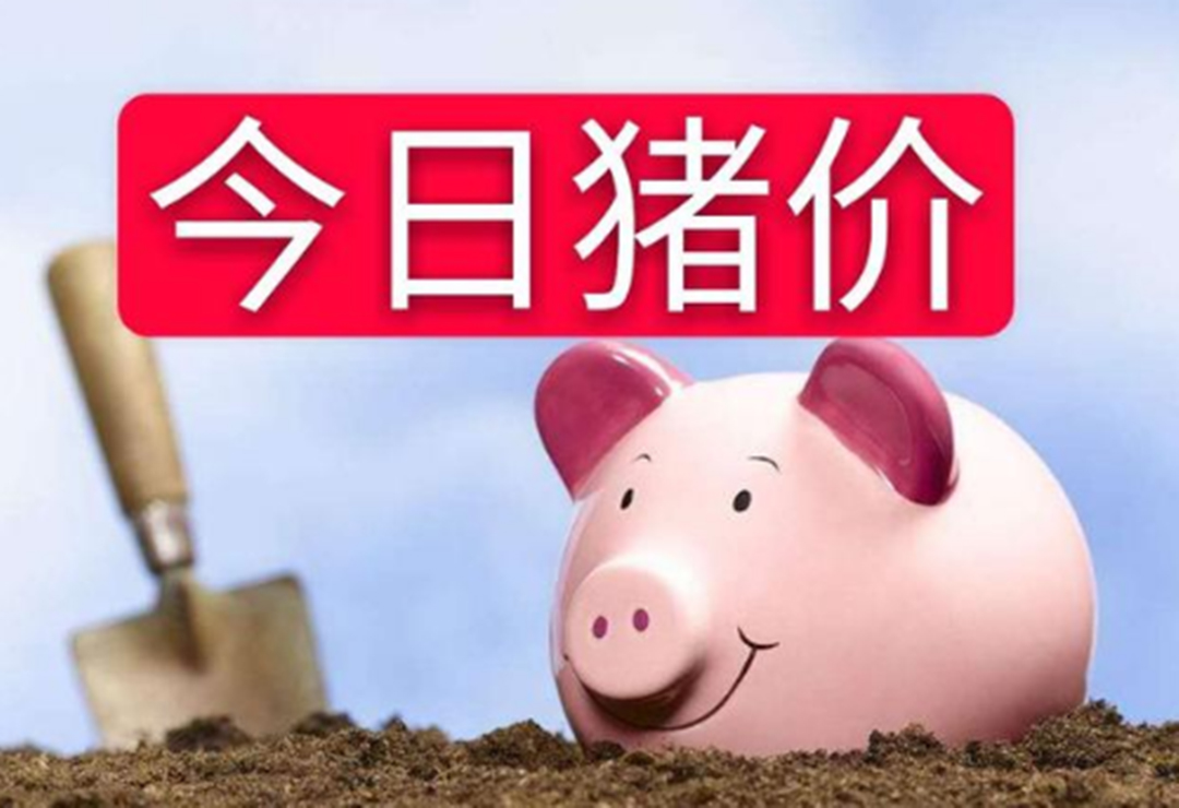 5月21日猪价谷底摩擦，国际市场上演“抢猪大战”，猪价上涨一触即发？