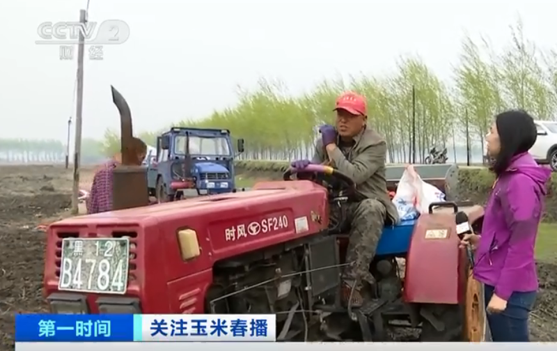黑龙江海伦：玉米价格高位运行，农户种植积极性高涨 