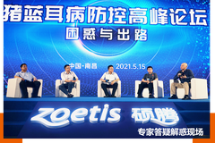 困惑与出路：猪蓝耳病活苗+灭活苗的免疫方式能起到免疫效果吗？