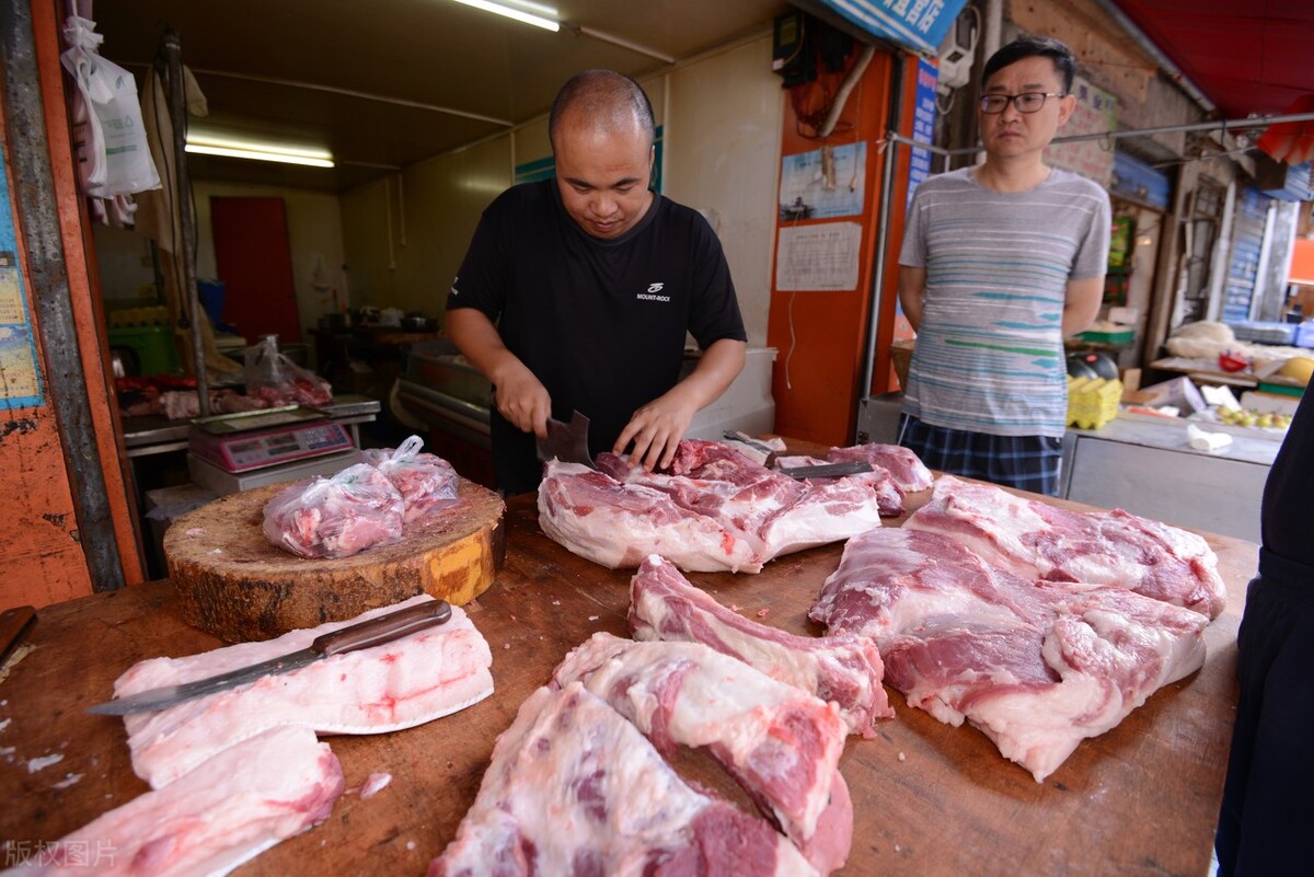 炒猪，炒肉，再炒猪，猪价的下跌“他们”应该负主要责任