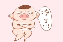 猪价持续下跌,养殖户应如何“过冬”？