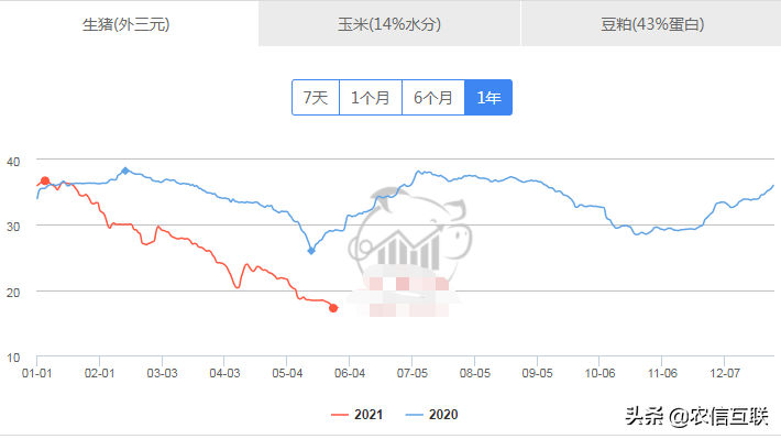 猪企成本pk：最低8元，最高15元！部分陷入亏损！猪价何时再涨？