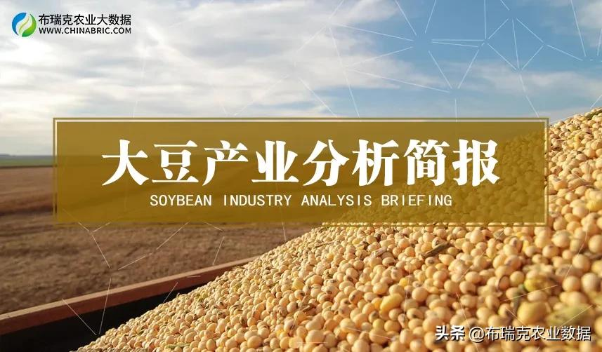 大豆产业简报：进口依存度超85%，耕地有限自给率难有大幅提升