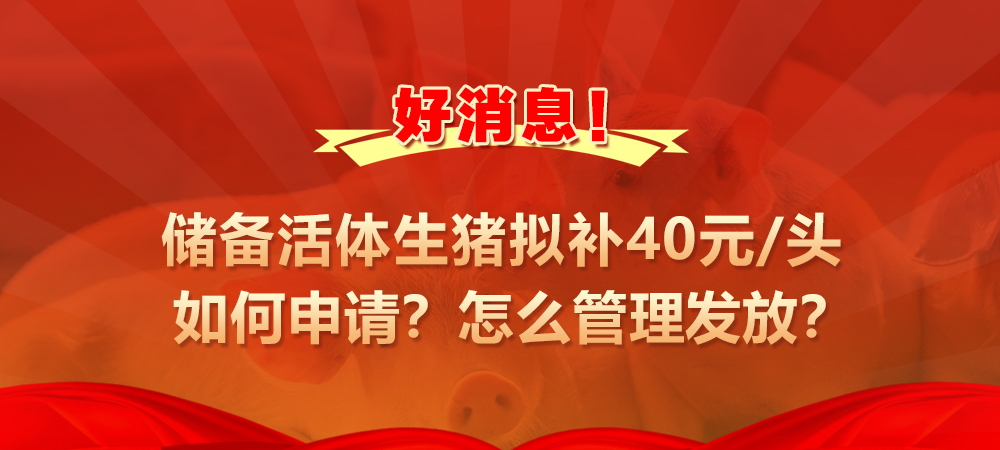好消息！储备活体生猪拟补40元/头，如何申请？怎么管理发放？ 