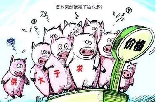 猪价连降18周！北京有猪肉批发价跌破每斤10元，