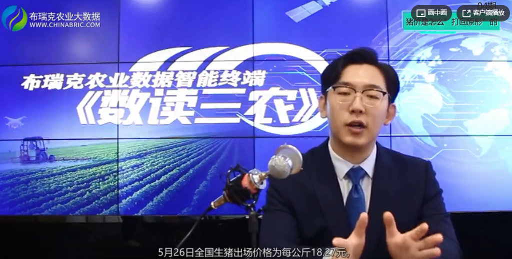 猪价跌势循环，论猪价是怎么“打回原形”的？