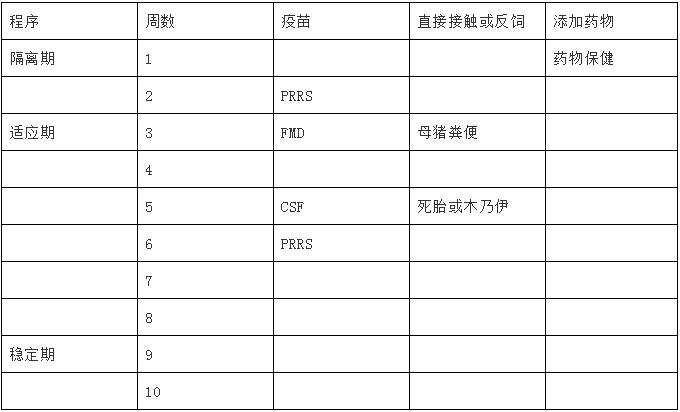 后备母猪