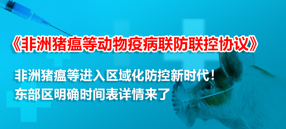 非洲猪瘟等进入区域化防控新时代！东部区明确时间表详情来了