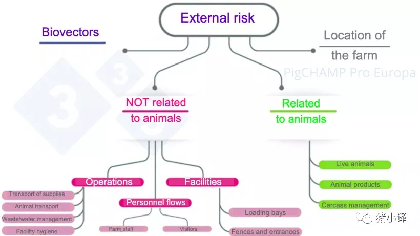 猪场生物安全审查：概念和结构，您知道多少？