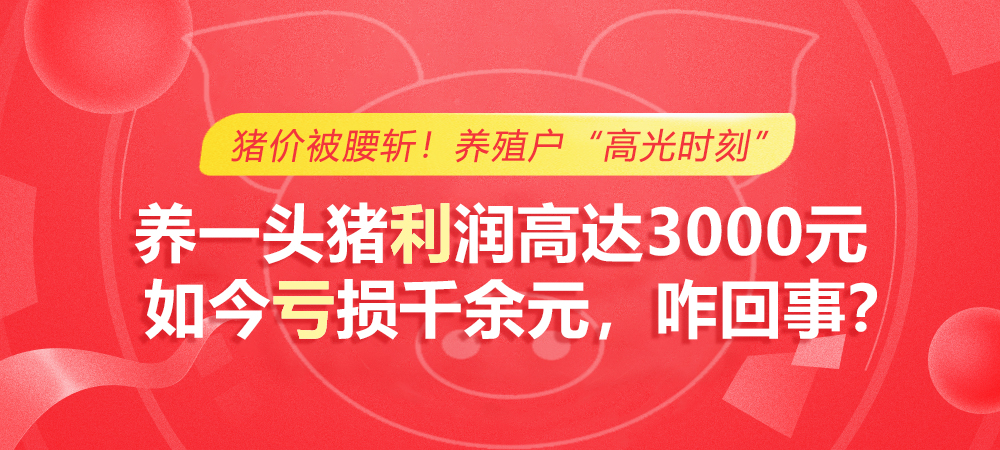 猪价被腰斩！养殖户“高光时刻”养一头猪利润高达3000元，如今亏损千余元，咋回事？