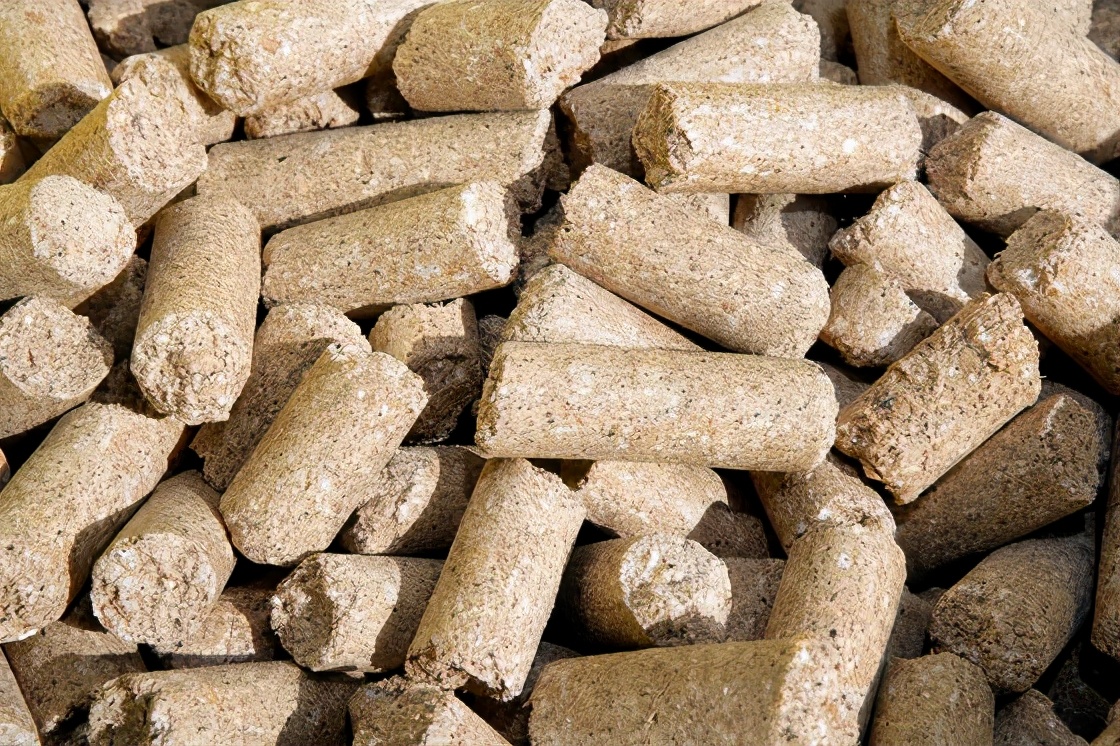 非洲猪瘟通过饲料，可以从哪些途径传播？4个方面要注意