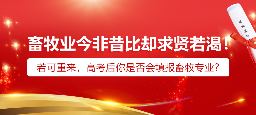 畜牧业今非昔比却求贤若渴！若可重来，高考后你是否会填报畜牧专业？
