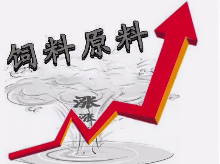 6月8日10公斤仔猪价格，仔猪价格连跌10周，散户压力持续倍增？