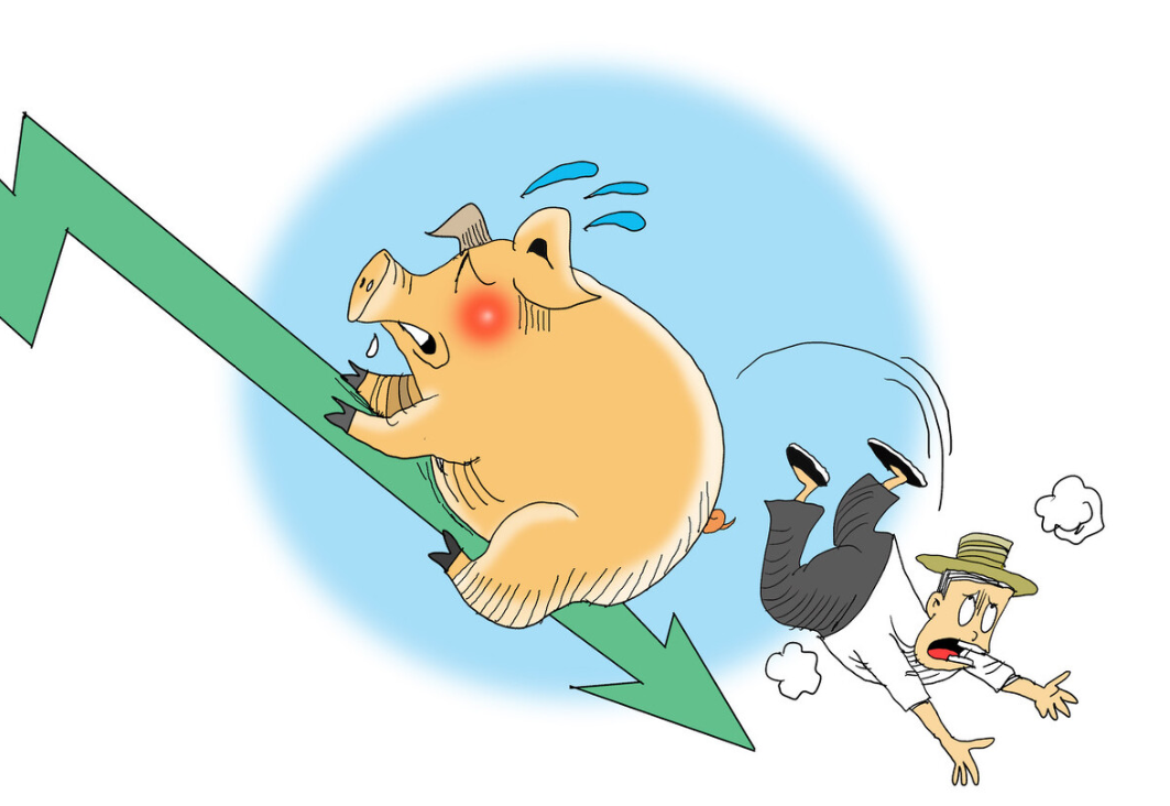 央广网：大规模养殖户普遍亏损！外购育肥养殖亏损超700元/头！