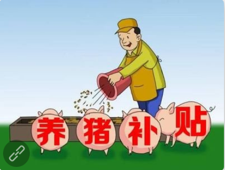 2021年养猪的政策补贴有哪些？国家动物防疫补助等政策措施都在这里！