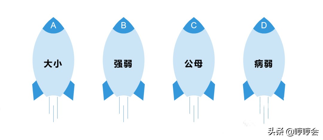 新希望技术干货分享：猪场进猪苗前两周管理的4大要点